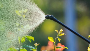 截屏2025-09-25 16.56.50 1.png