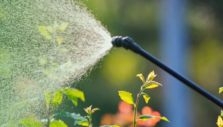 截屏2025-09-25 16.56.50 1.png