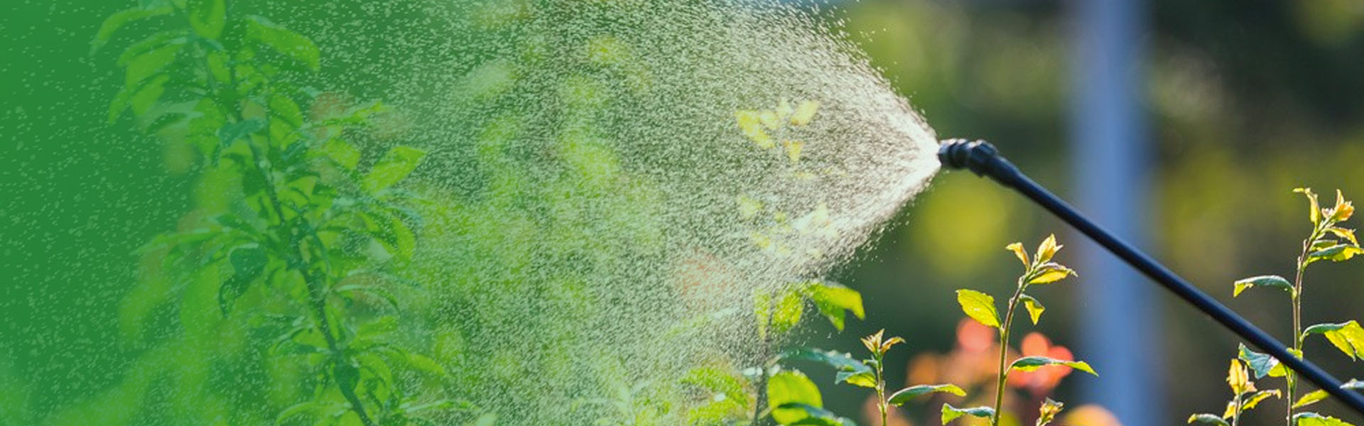 Quelle est la différence entre un souffleur de brume et un pulvérisateur de puissance?